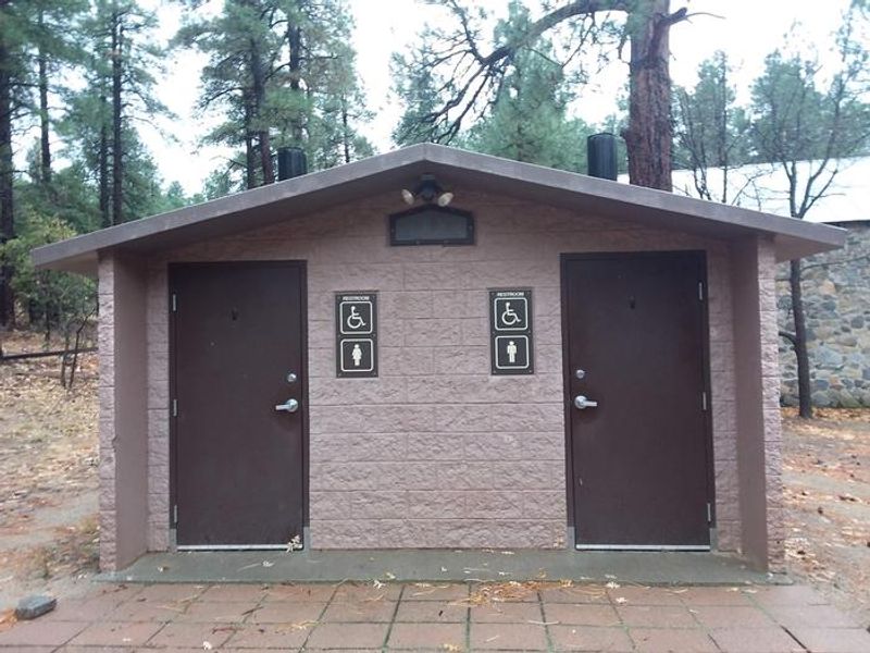 Accessible vault toilet