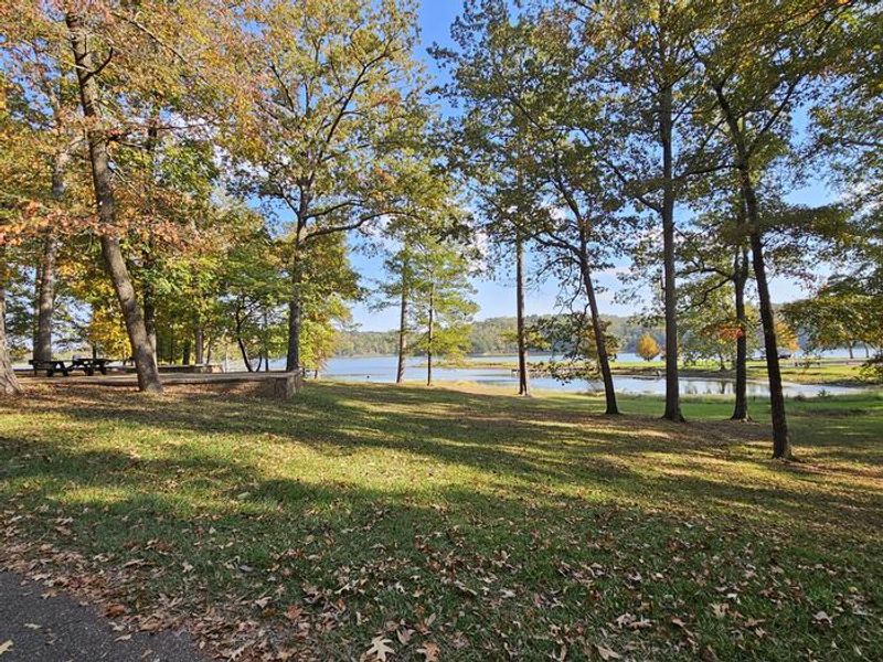 Davis lake shaded side of campground