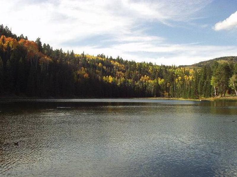 Fall Colors at Posey Lake