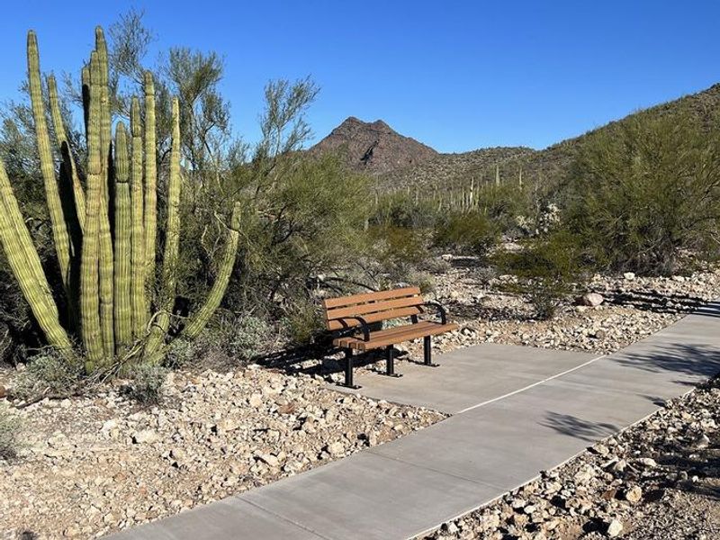 The ADA accessible section of the Campground Perimeter trail features benches to rest.
