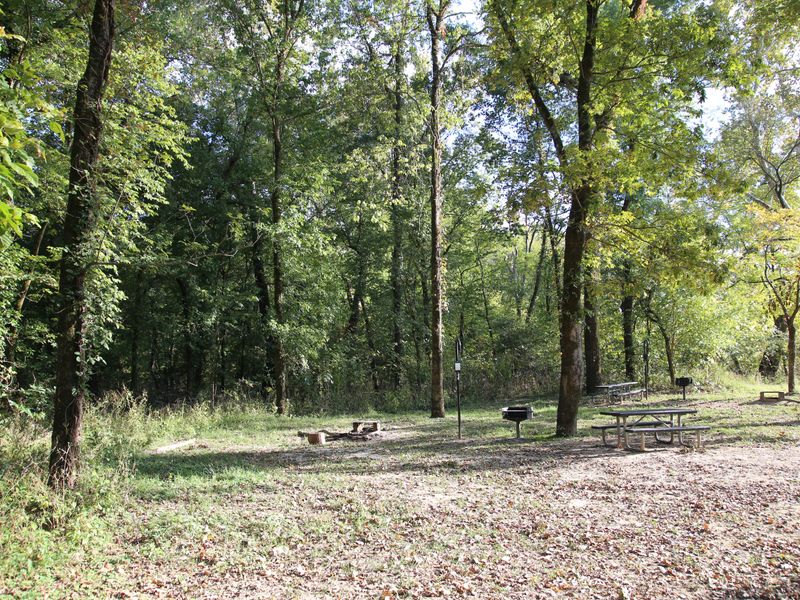 Due to the campground's location, these sites have more sun in the evening.