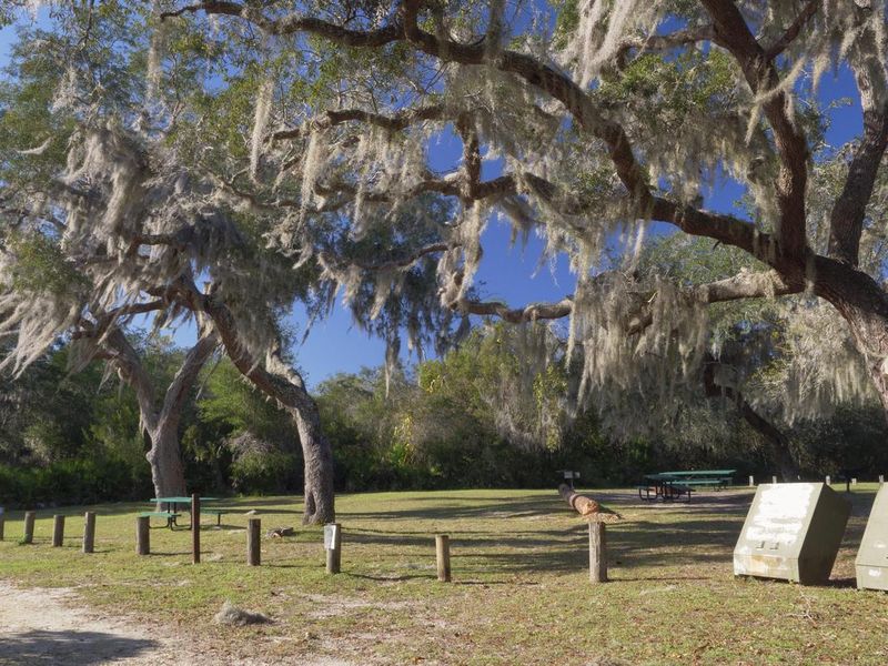 Group campsite at Buck Lake