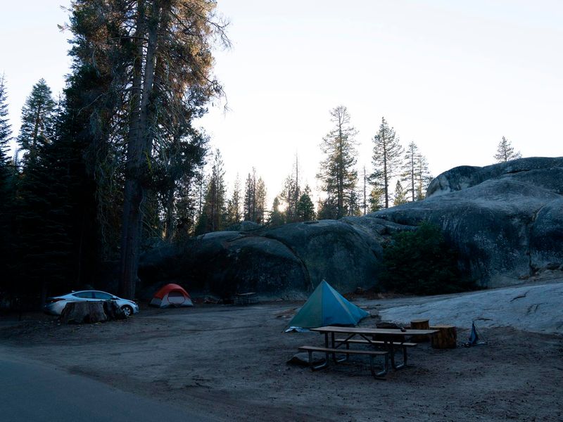 Tamarack Flat Campground Campsite
