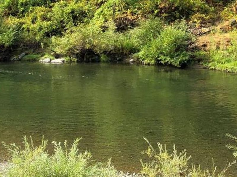 View of Trinity River from Skunk Point Campground