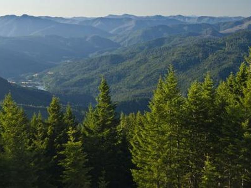 View from Lake of the Woods Lookout