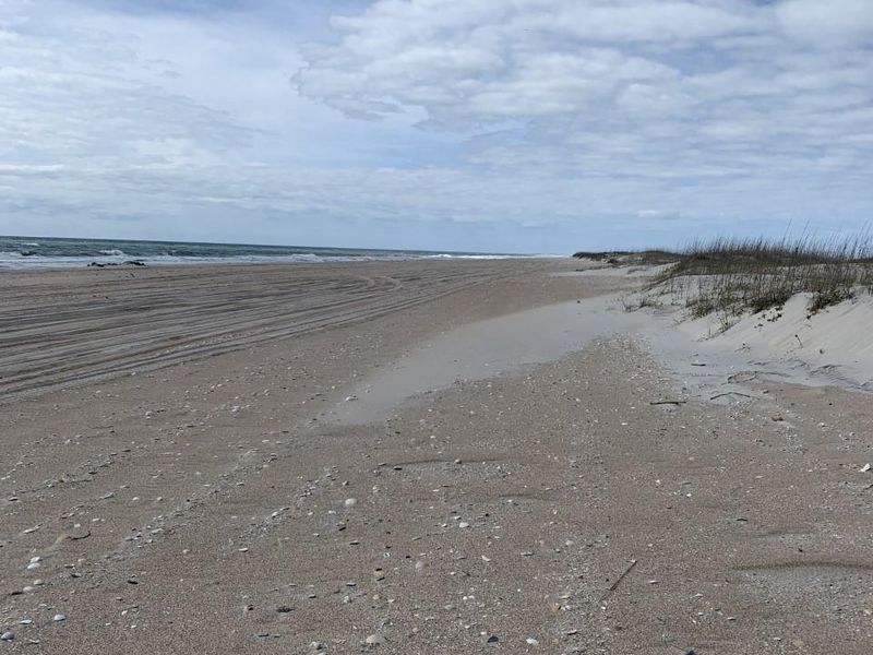 Where would you like to camp?  This wide beach allows for dispersed camping seaward of the dunes along its length.