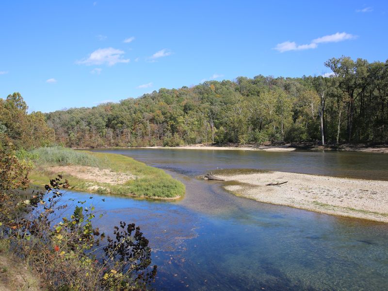 Views of the Current River are enhanced by a variety of plant life.