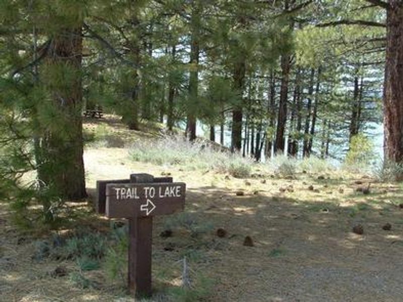 Trail to Lake