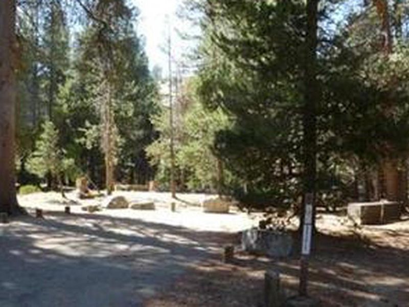 Jackass Meadow Campground