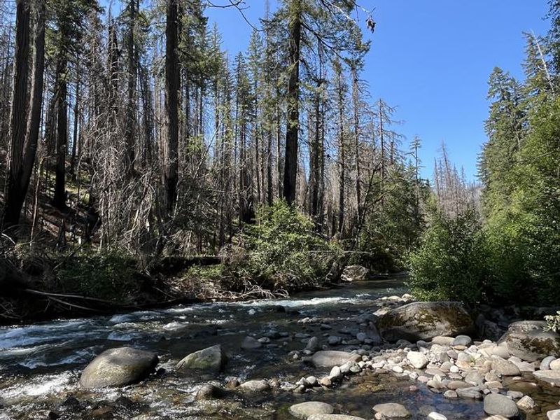 BREITENBUSH CAMPGROUND