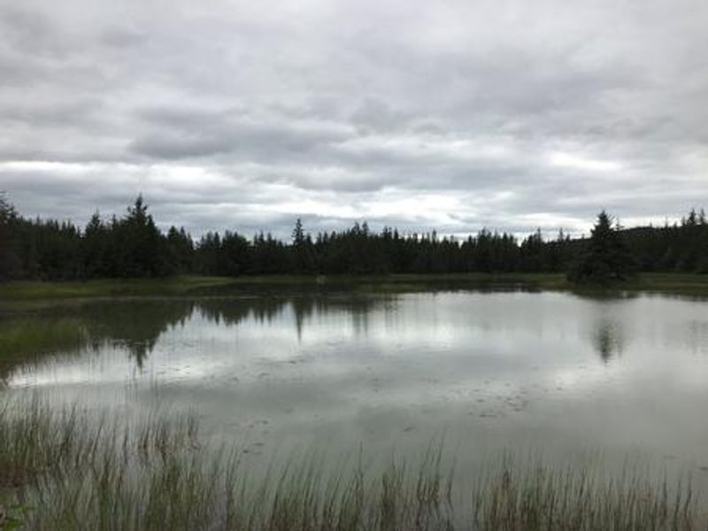 Kettle Pond in the Campground