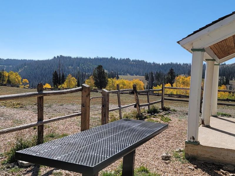 Seely Creek Guard Station back porch and grounds