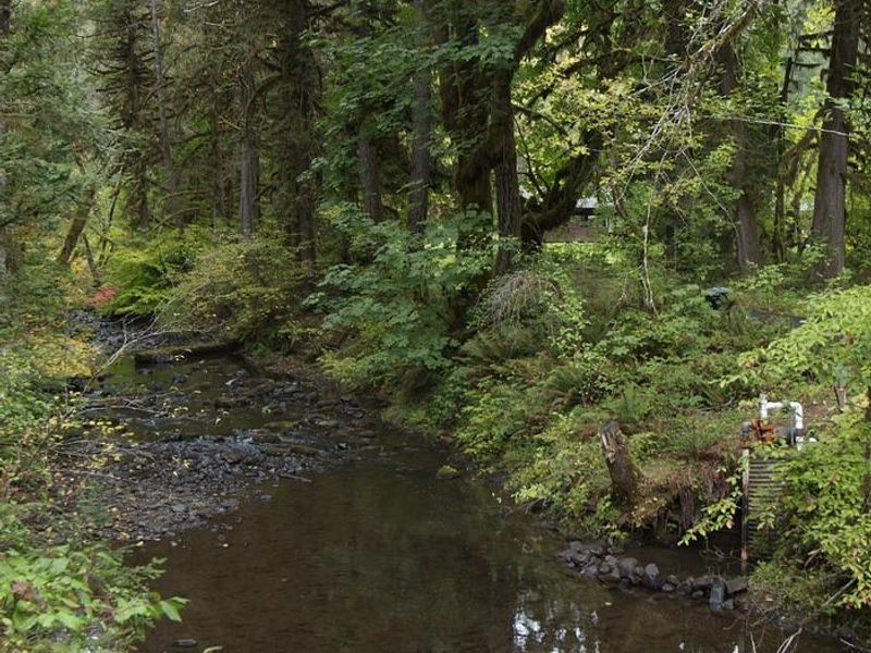 View of Shotgun Creek from bridge. 