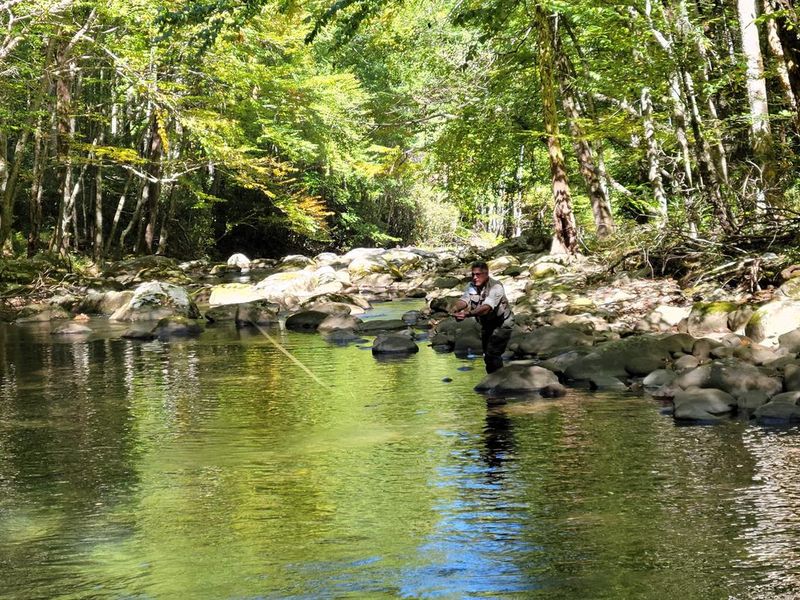 An angler in the Smokies