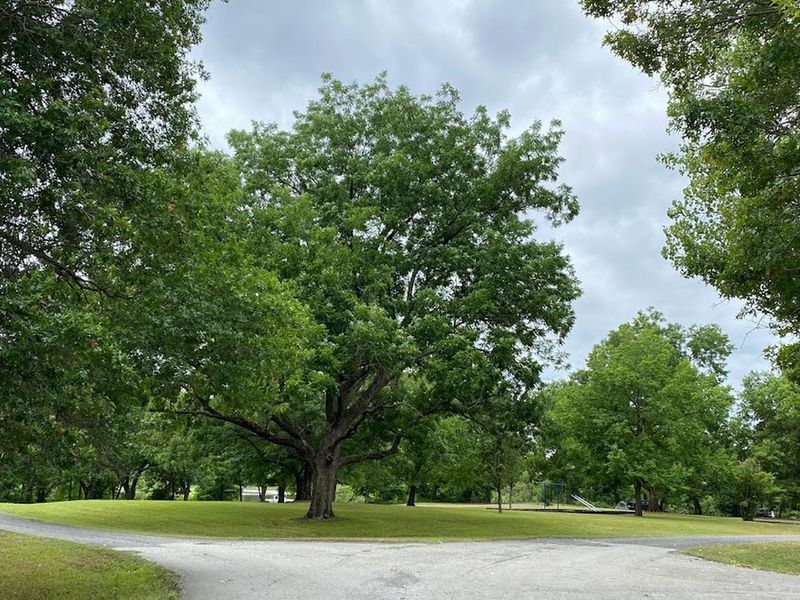 Entrance to the campground