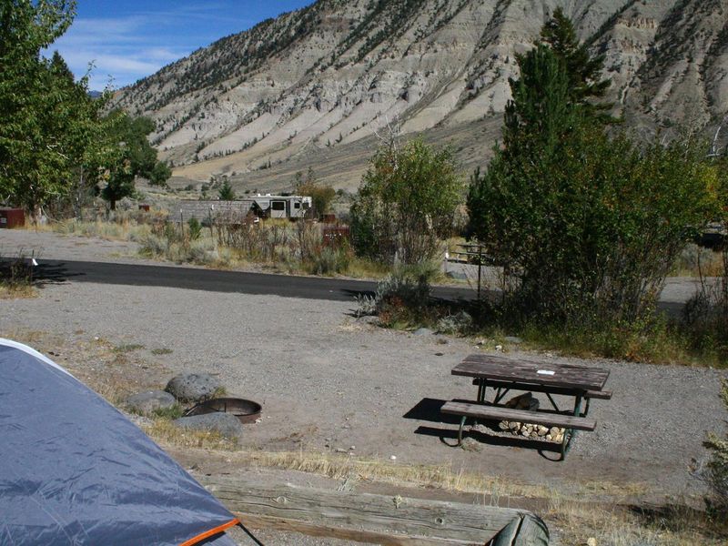 Mammothy Campsite #82