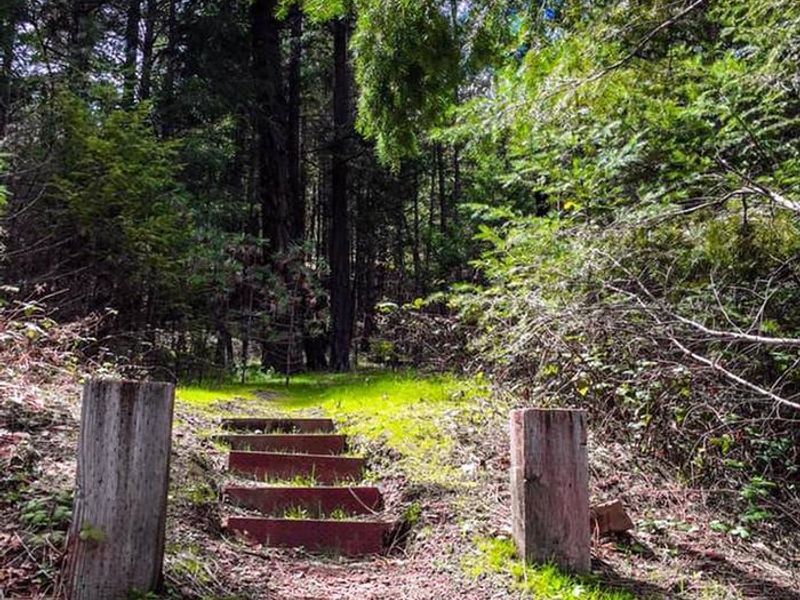 Mary Smith Trail up to Tent Sites