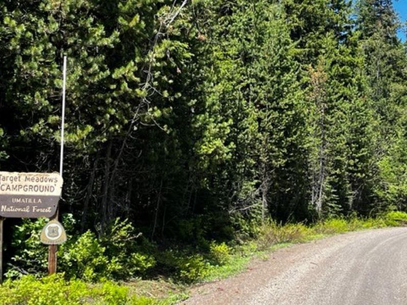 Target Meadows Campground Entrance