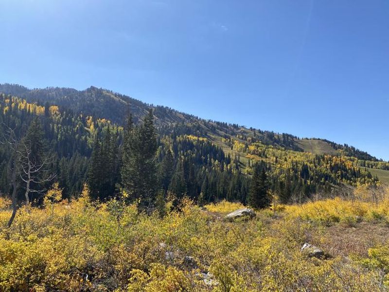 A photo of facility REDMAN CAMPGROUND with No Amenities Shown