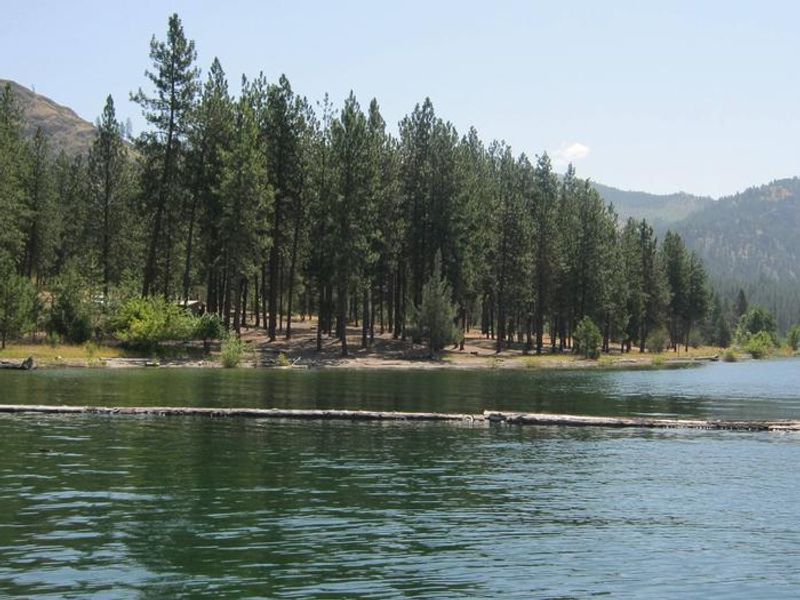 Gifford Campground, view from Boat Launch, Trees and Lake in background