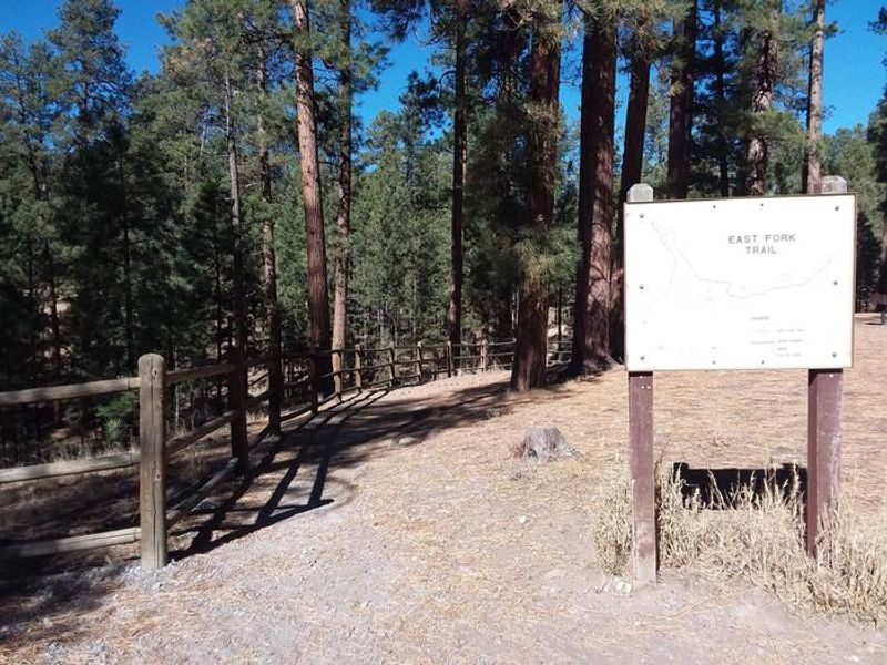 Jemez Falls Campground 