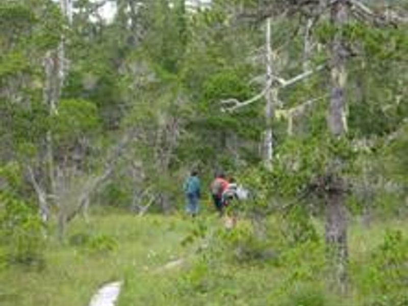 Kah Sheets Bay Cabin