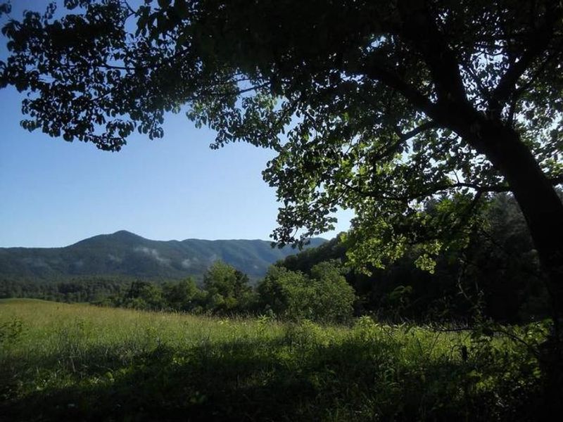 Scenic mountains view