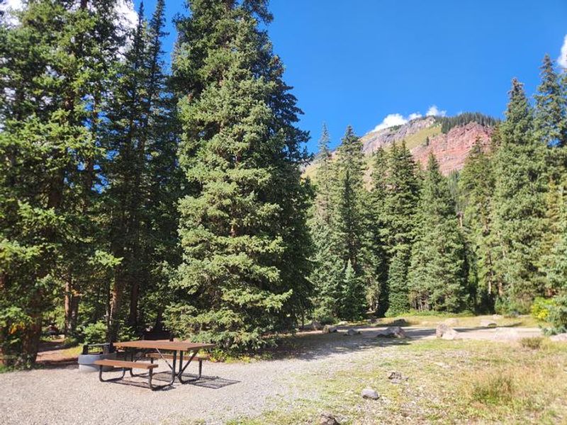 Campsite with picnic table and fire ring and view of mountain