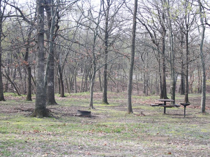 WASHINGTON COVE - Primitive Tent Campsites - First Come First Served Only