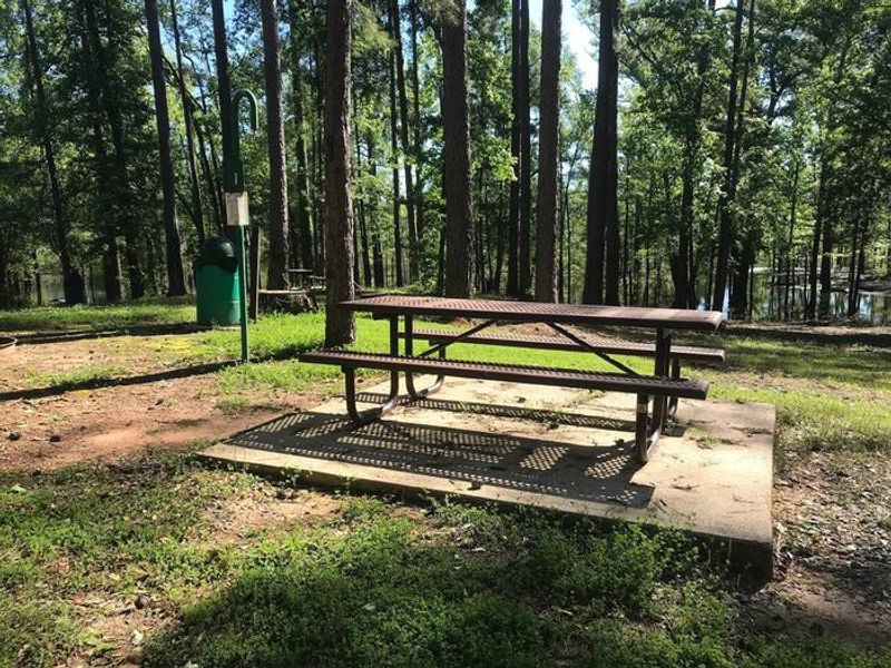 Campsite #1. Tent site with the following amenities: fire-pit, grill, picnic table, lantern pole, trash can.