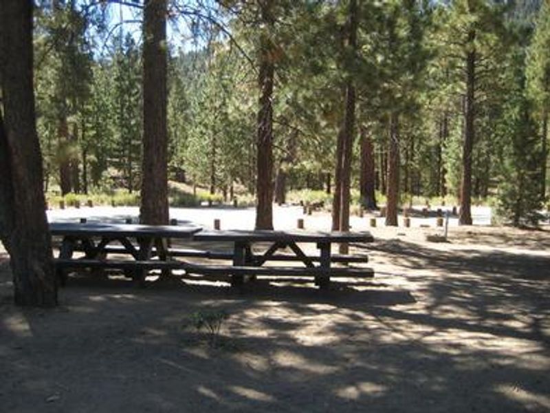 Shade & Picnic Tables of the Skyline Campground