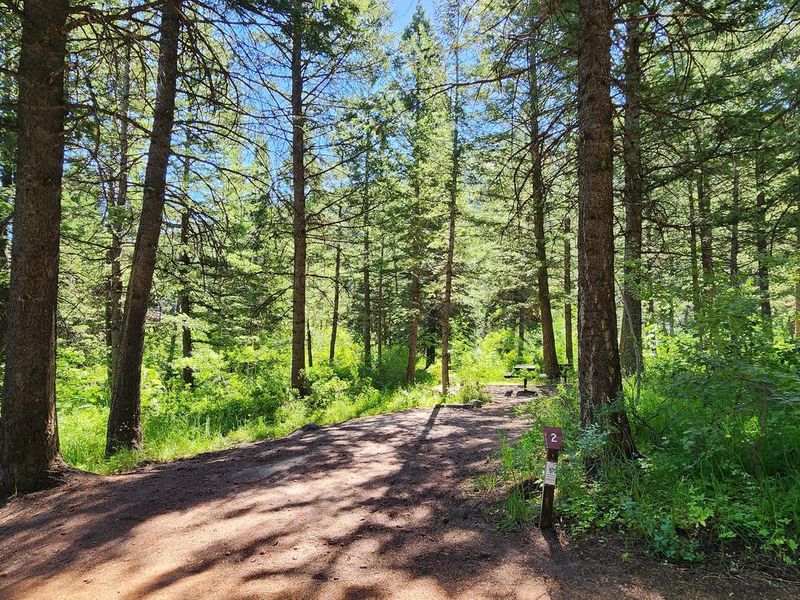 Scout Mountain Campground site 2