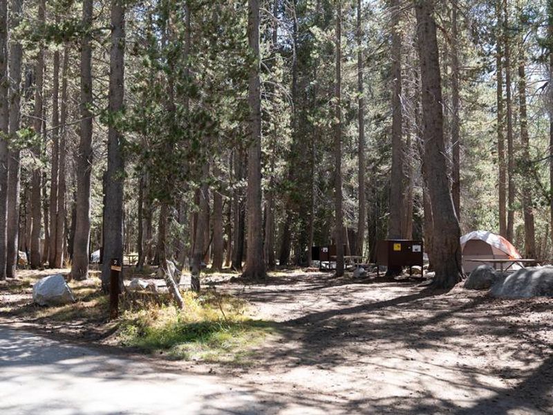 Campsite at White Wolf campground