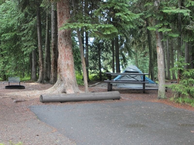 Bridge Bay Campground