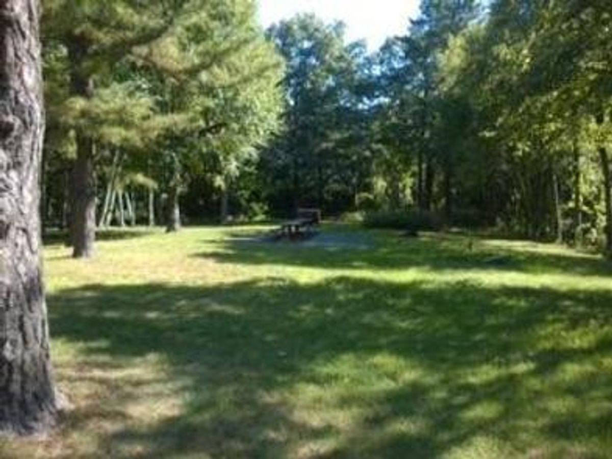 Dundo Group Campground photo 2