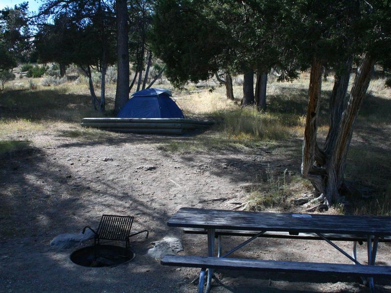 Mammoth Campsite #72