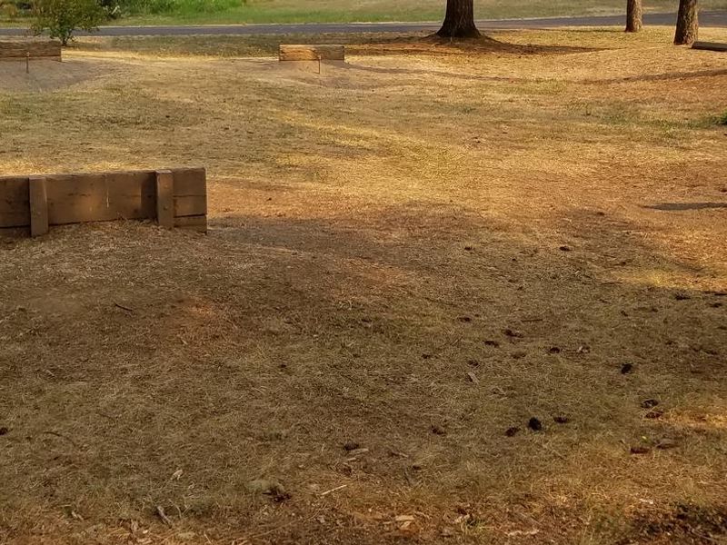 Horseshoe Pits