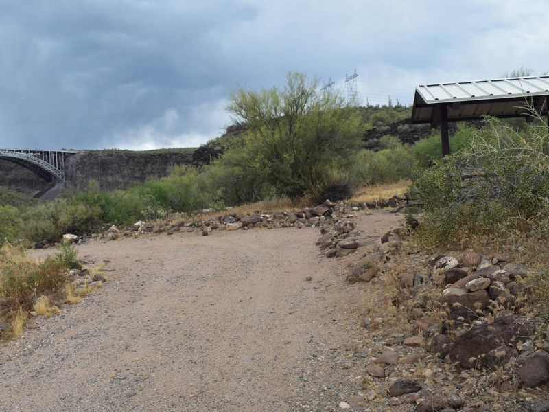 Site 22 - RV Pull Through