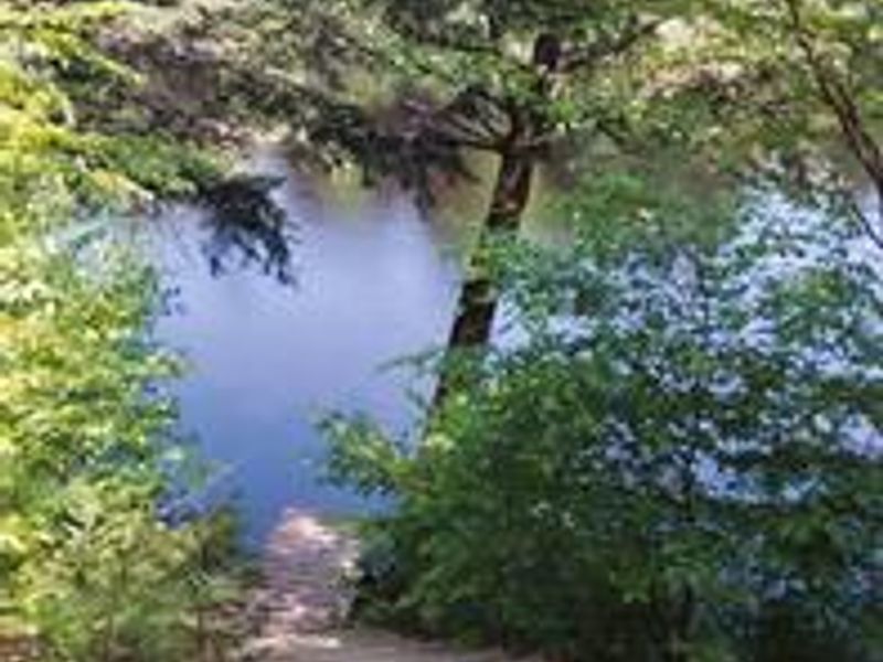 Stairs and dock at one of the campsites