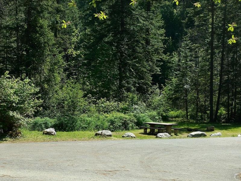 Beauty Creek Campground Site 14