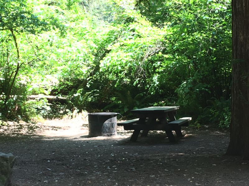 Small campsites are common in this campground.