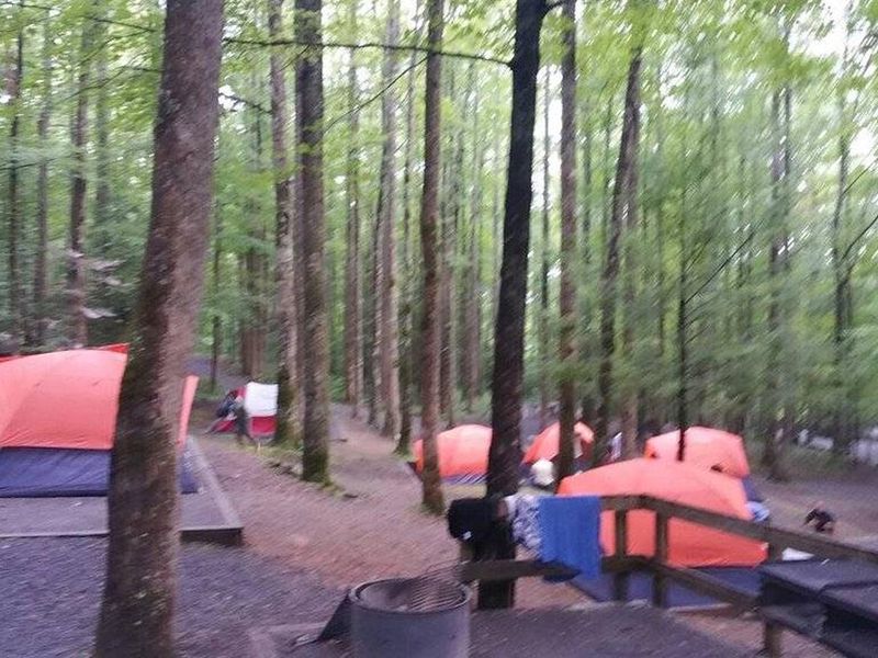 Boy Scouts tent camping