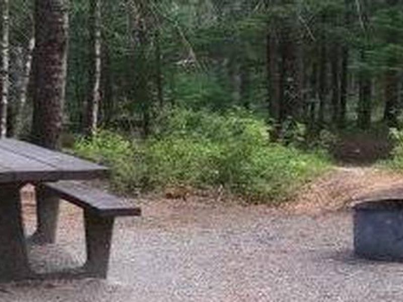 Devil's Elbow Campground Site 6