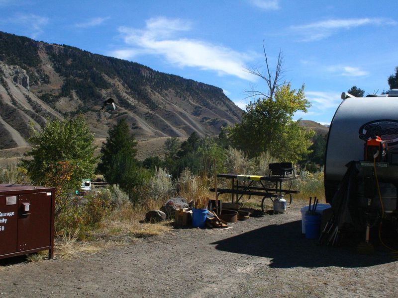 Mammoth Campsite #50