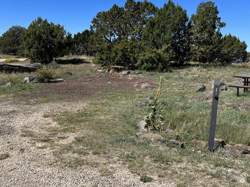 Forked Pine Campground - Site 1