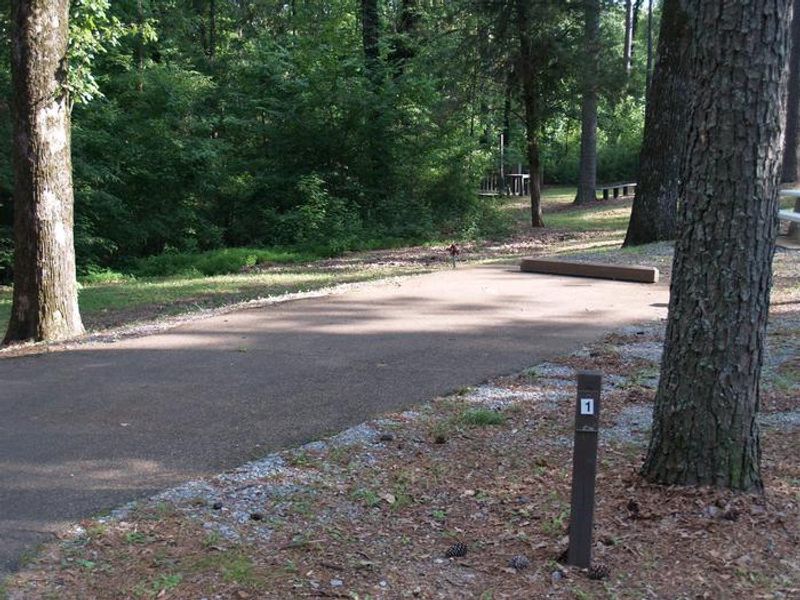 Dub Patton Campground