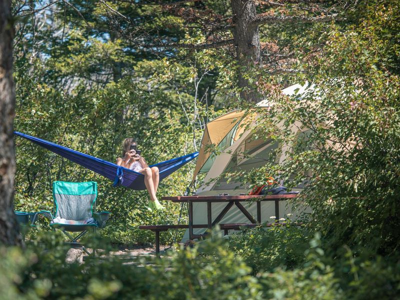 A person sits at a campsite in the Rising Sun Campground, surrounded by dense vegetation.