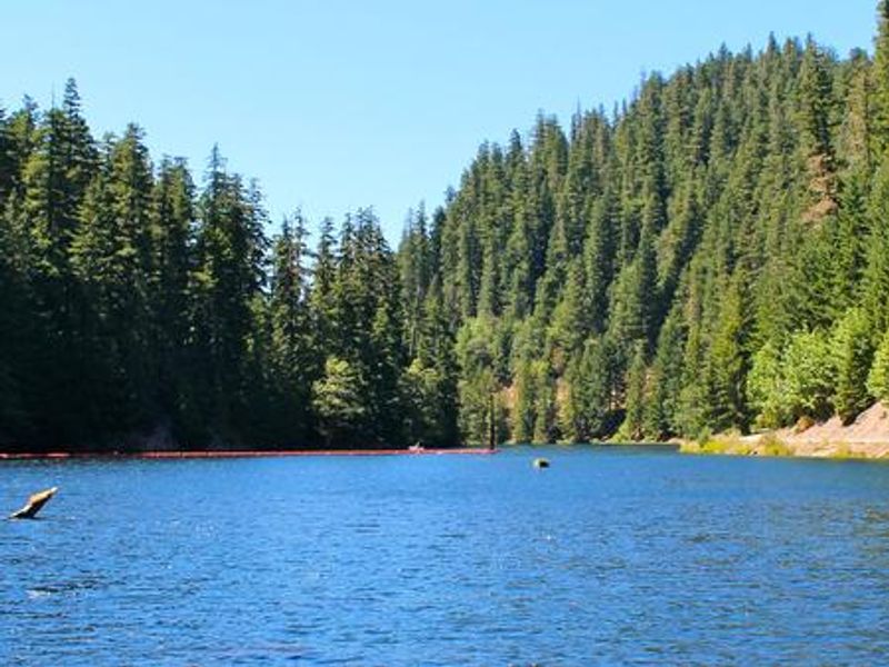 Lake Harriet reservoir