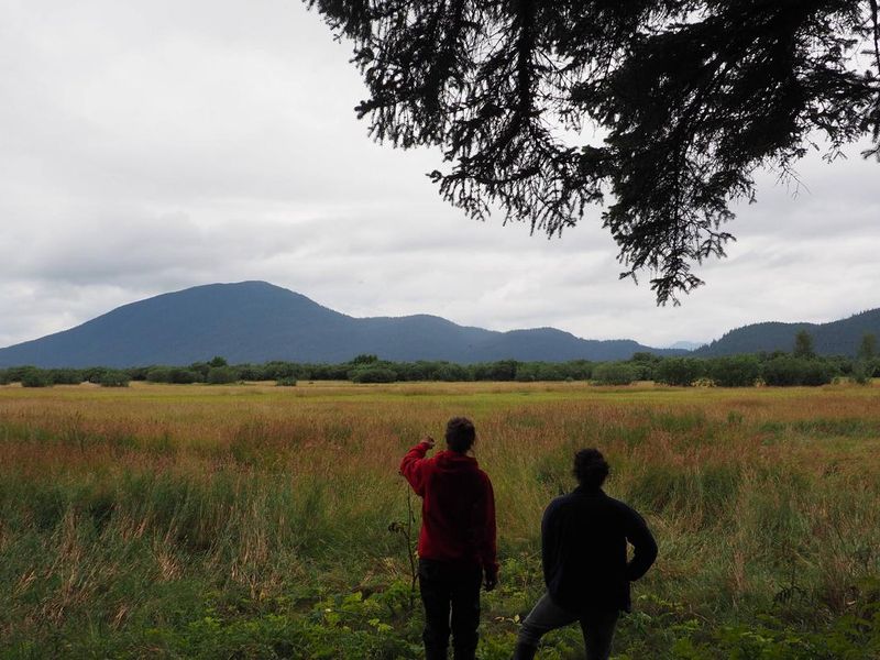 The view from Sergief Island Cabin