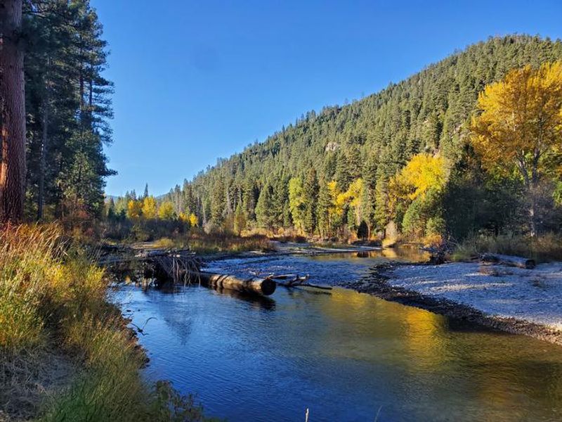 West Fork Bitterroot River at Rombo Campground